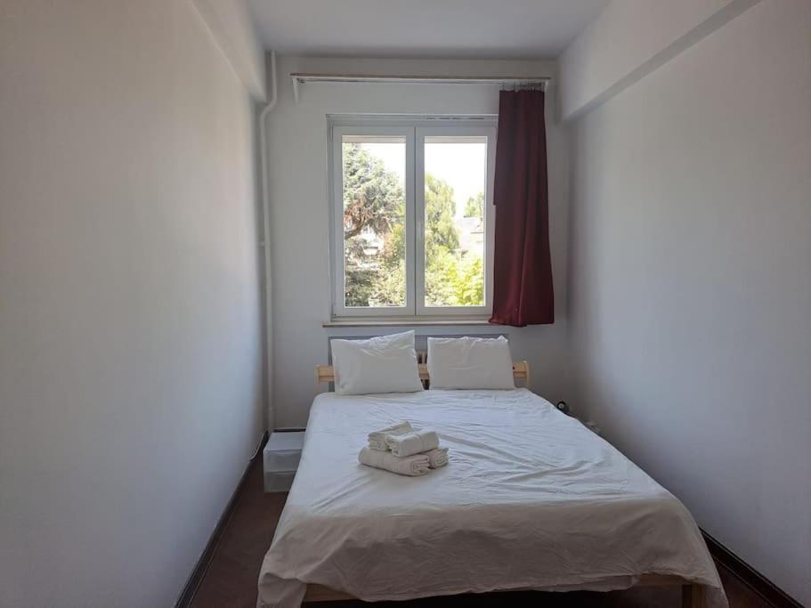 Spacious Apartment Next To Parc Du Cinquantenaire Brussels Exterior photo